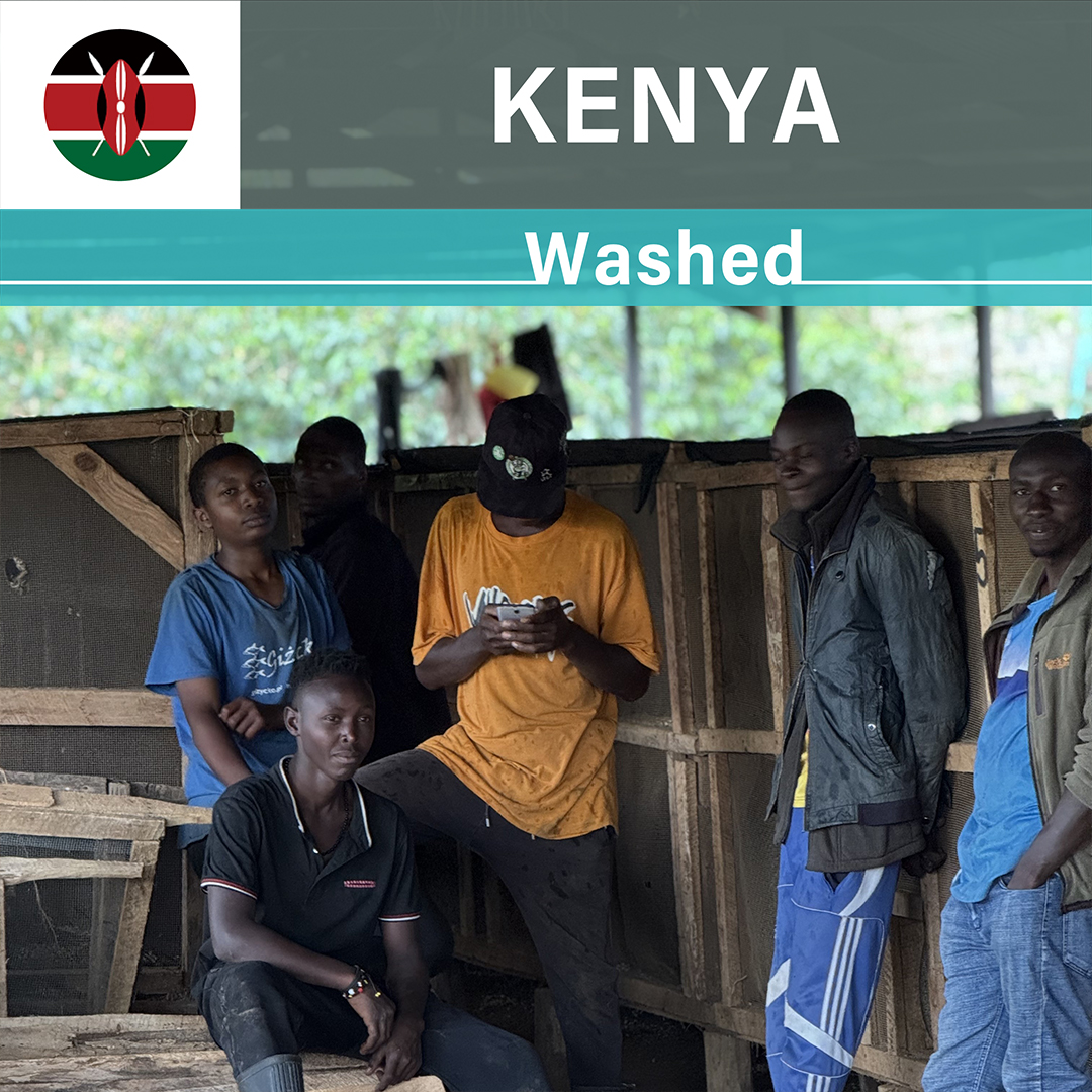 Kenya Kii AA Washed(24/25年クロップ) | ORIGIN COUNTRIES（オリジン